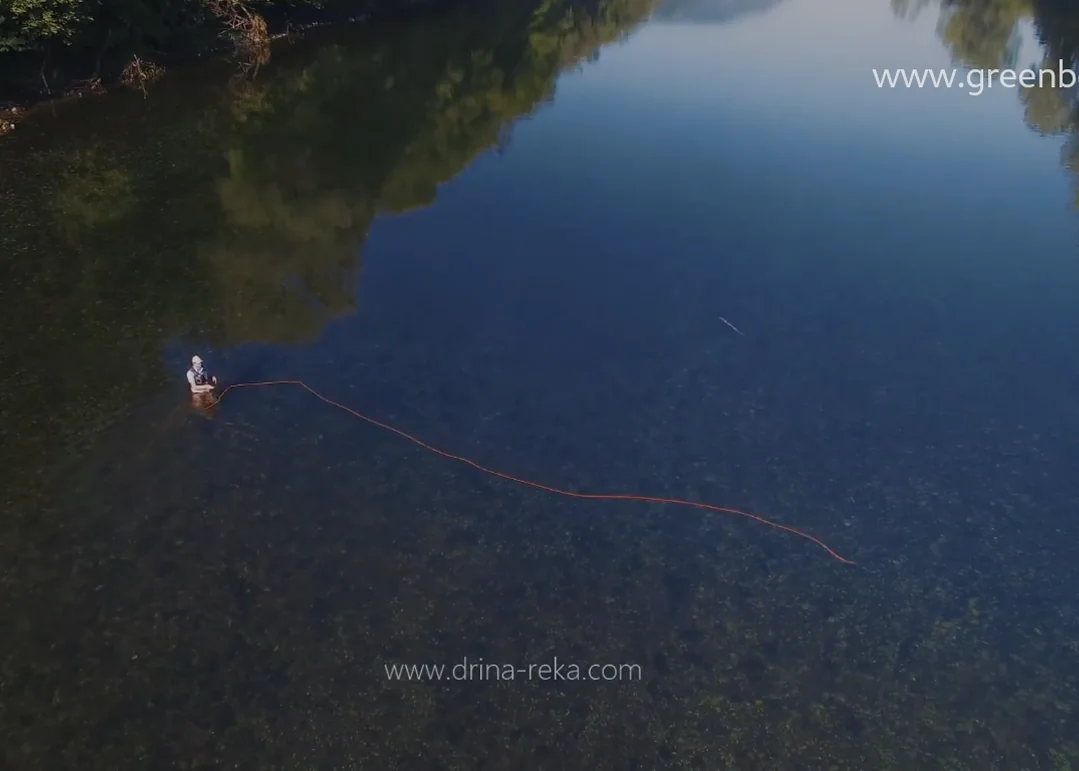 Green Bear — fishing 2