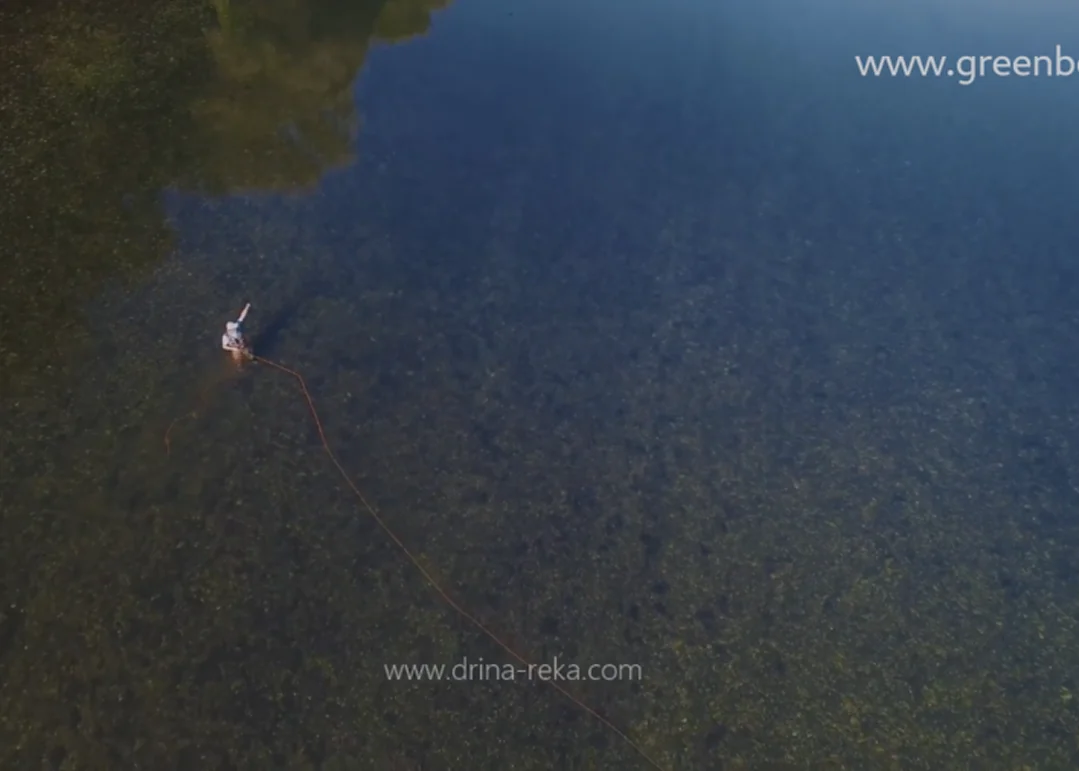 Green Bear — fishing 3