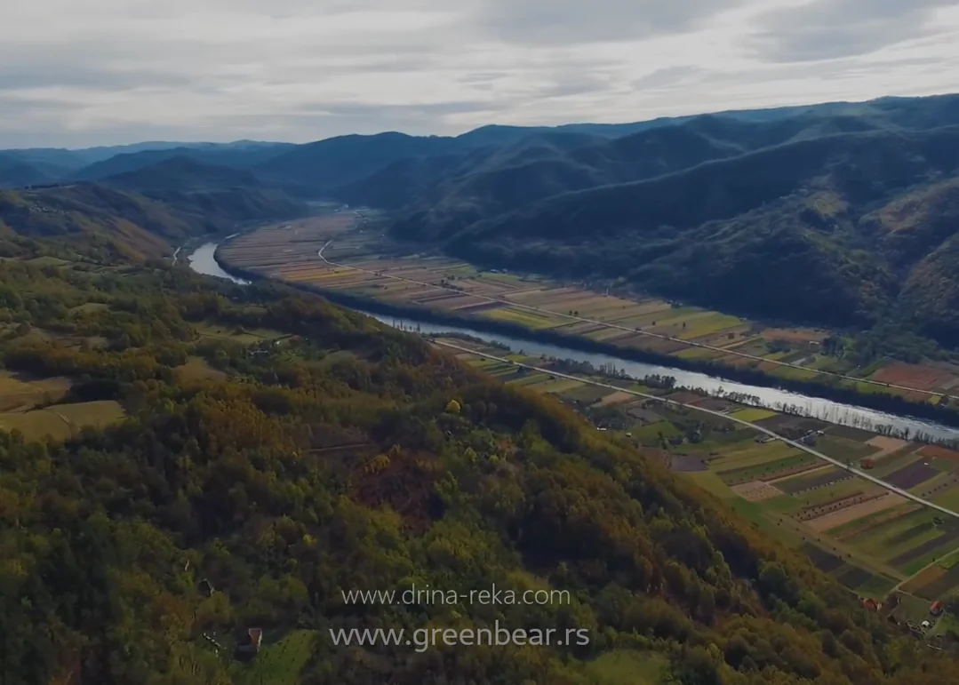 Green Bear — fishing 4