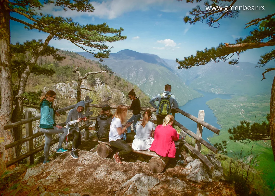Green Bear — hiking 1