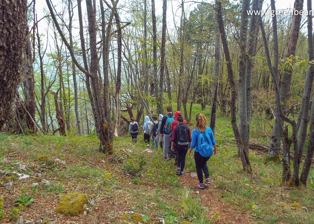 Green Bear — hiking 10