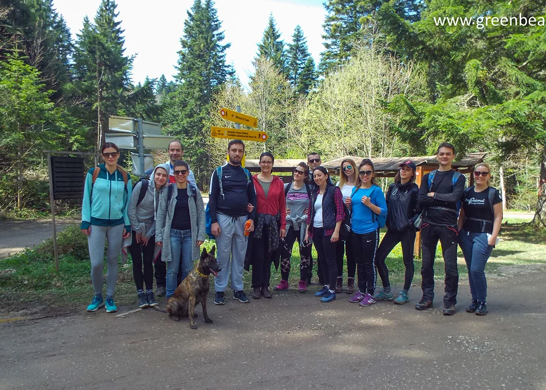 Green Bear — hiking 6