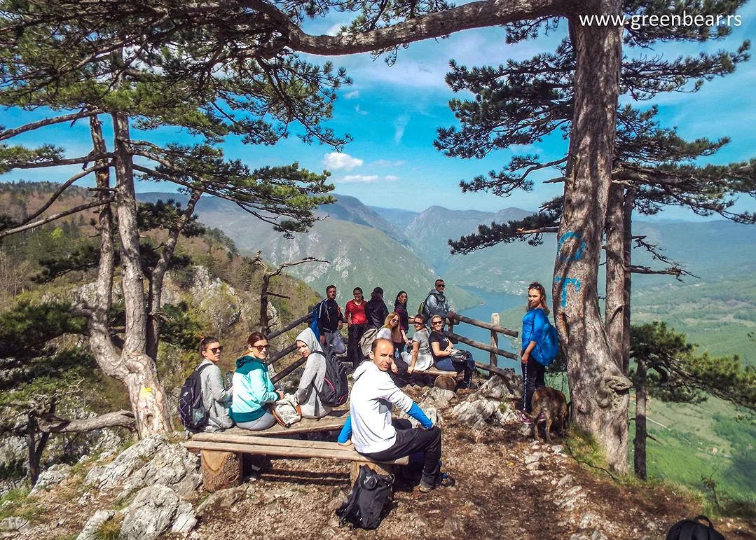 Green Bear — hiking 7