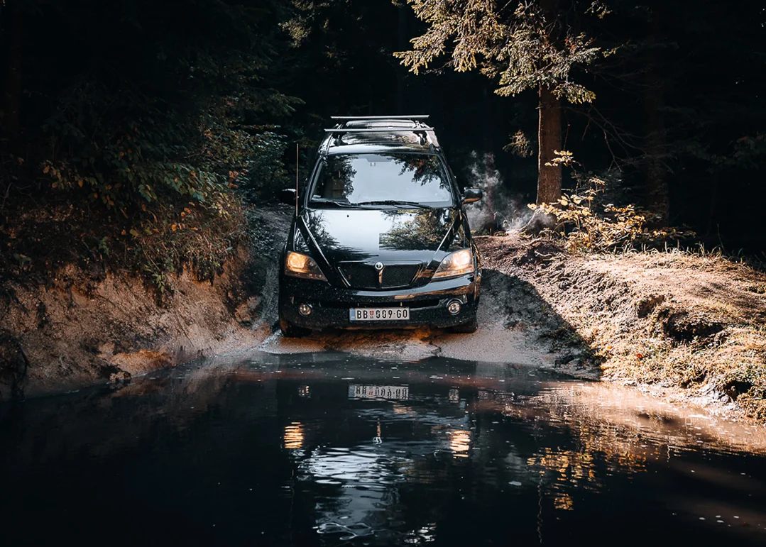 Green Bear — offroad 3