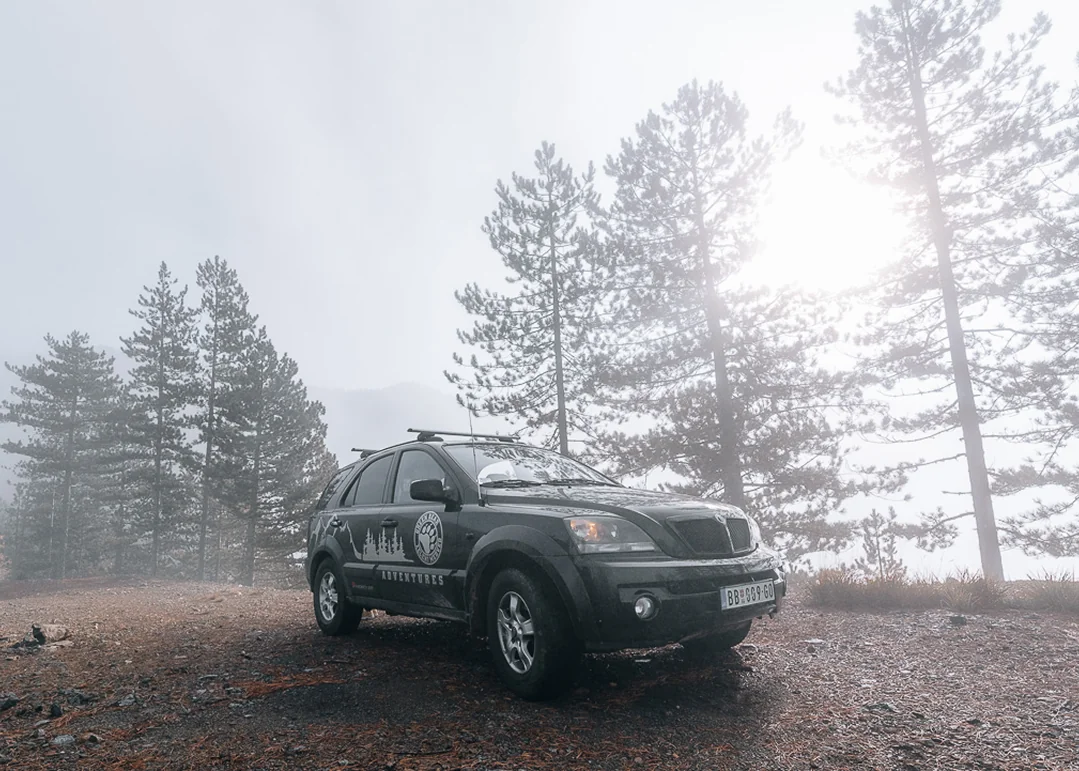 Green Bear — offroad 6