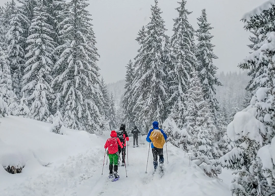 Green Bear — snowshoeing 2