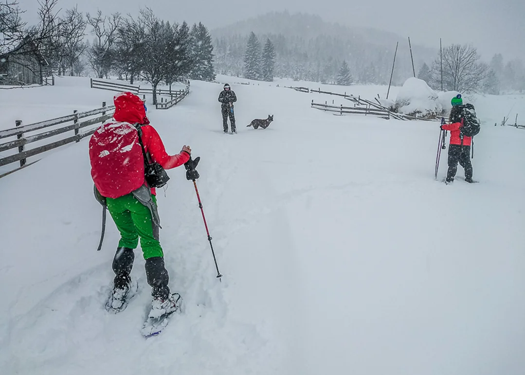 Green Bear — snowshoeing 3