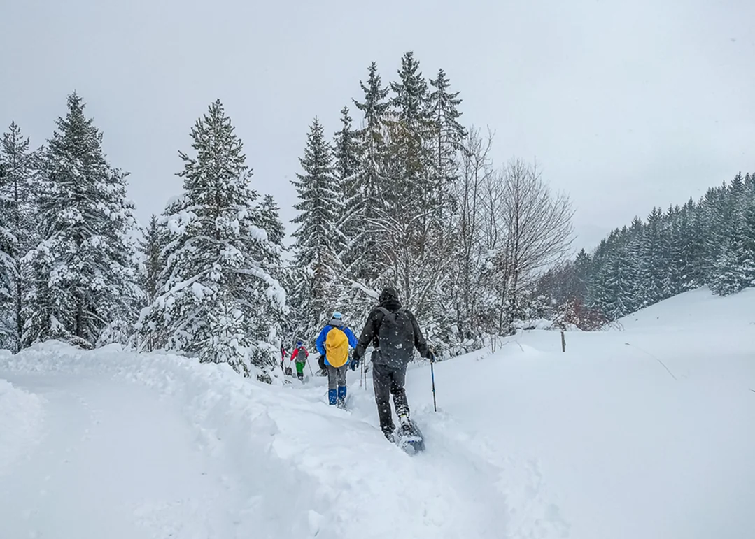 Green Bear — snowshoeing 4