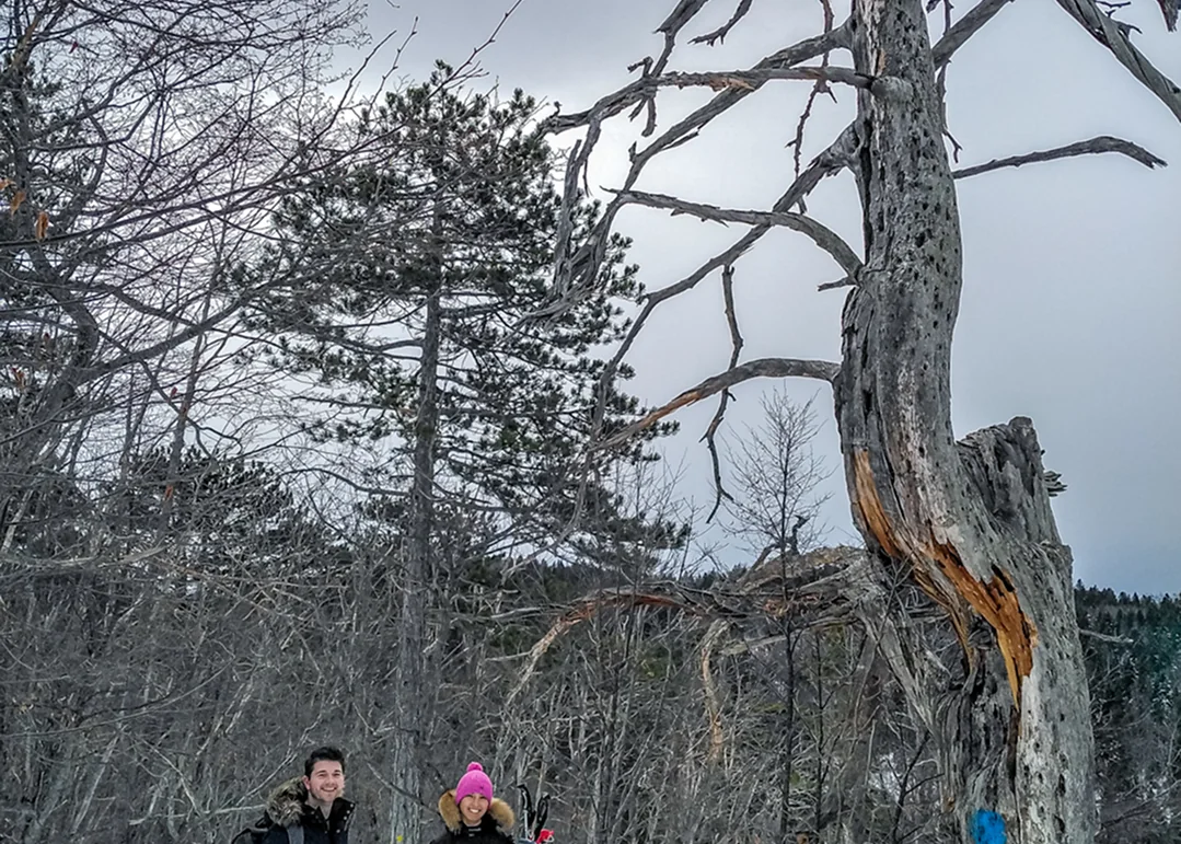 Green Bear — snowshoeing 6