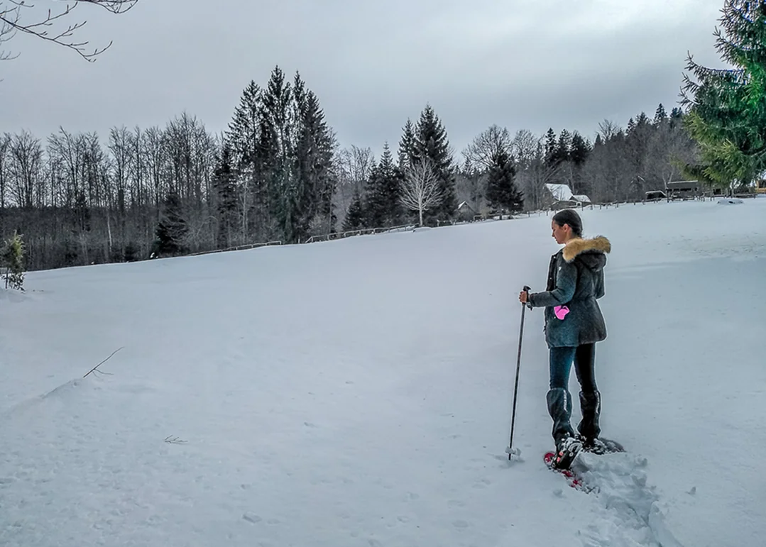 Green Bear — snowshoeing 8